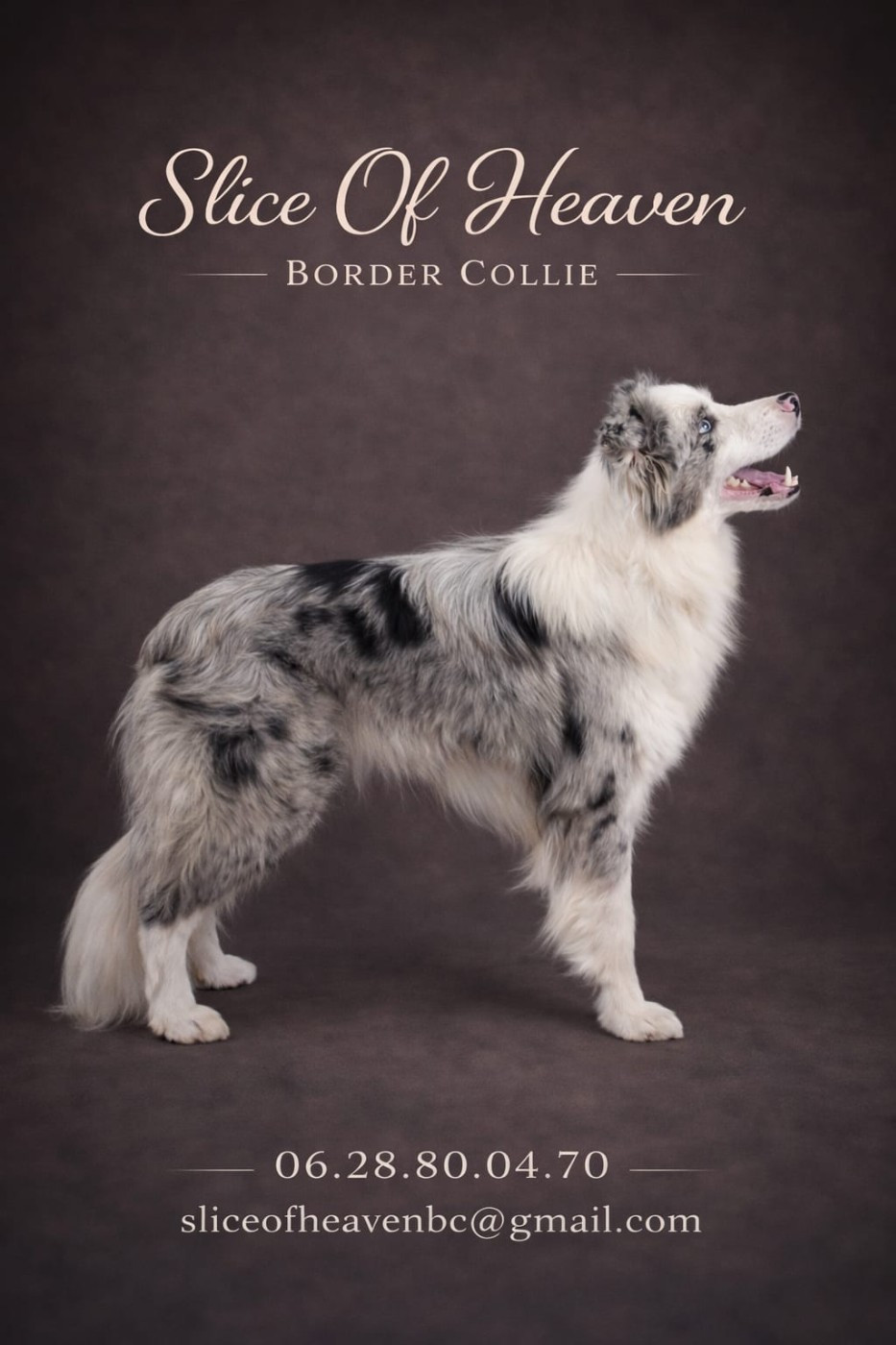 Elegance blue pearl of crystal of dynamic pleasure