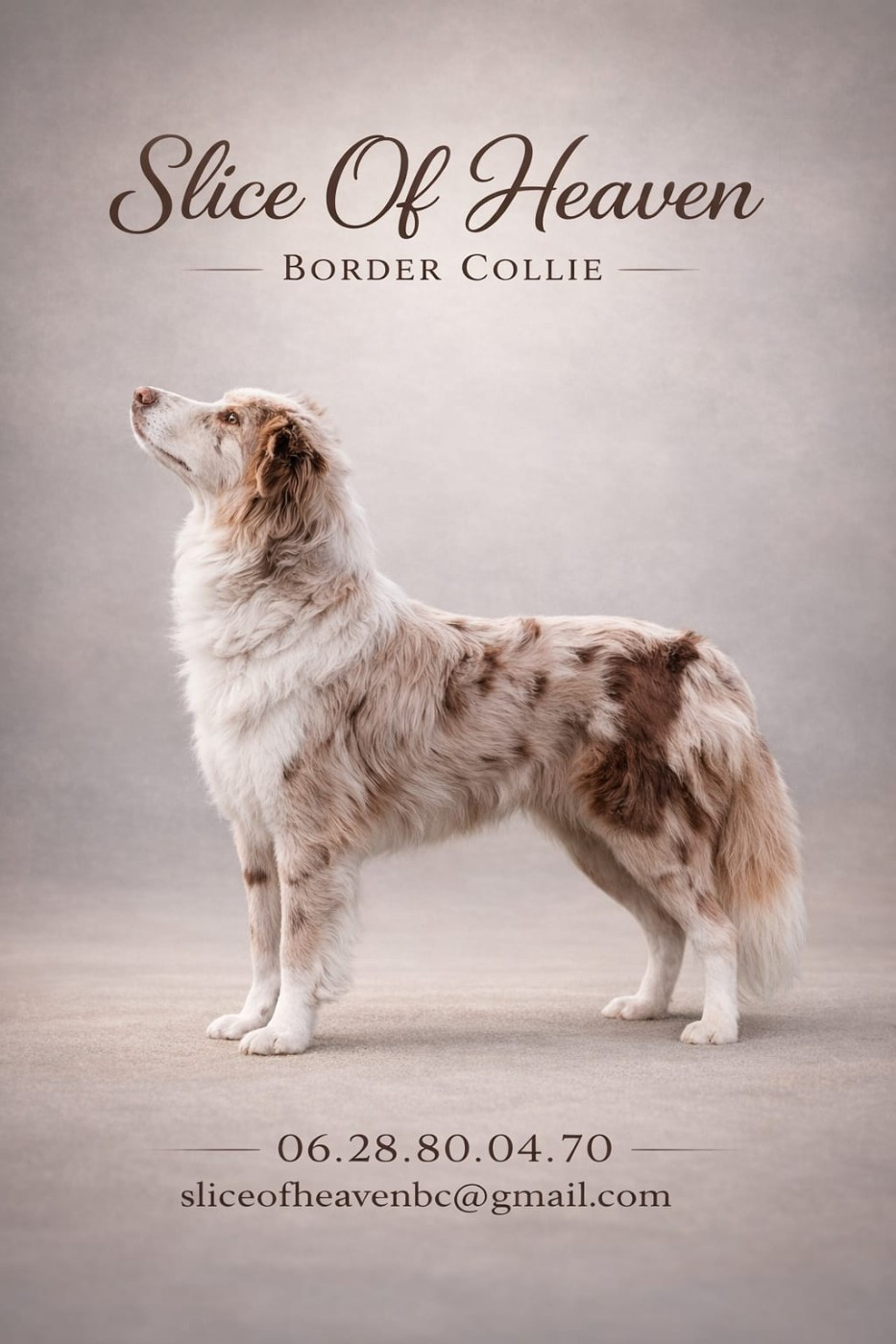 Blissful diamond red sunny of dynamic pleasure